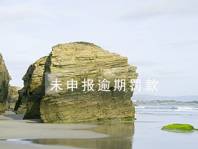 未申报逾期罚款 未申报逾期罚款