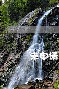 未申请判决逾期支付双倍利息