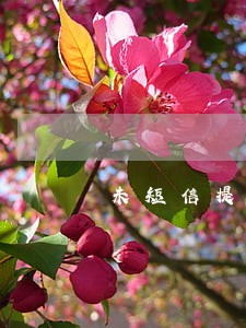 未短信提醒导致房贷逾期 未短信提醒导致房贷逾期