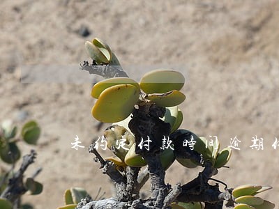 未约定付款时间逾期付款违约金