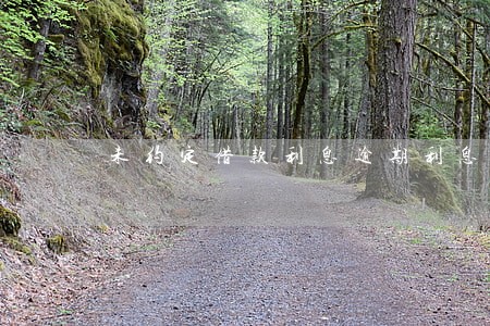 未约定借款利息逾期利息 未约定借款利息逾期利息