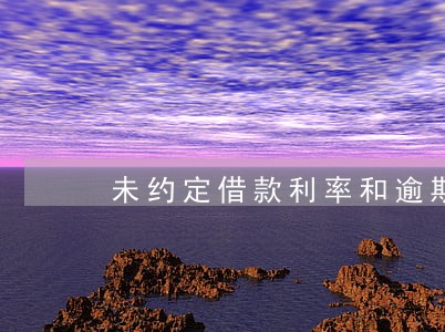 未约定借款利率和逾期利率 未约定借款利率和逾期利率