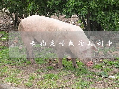 未约定借款逾期利率 未约定借款逾期利率