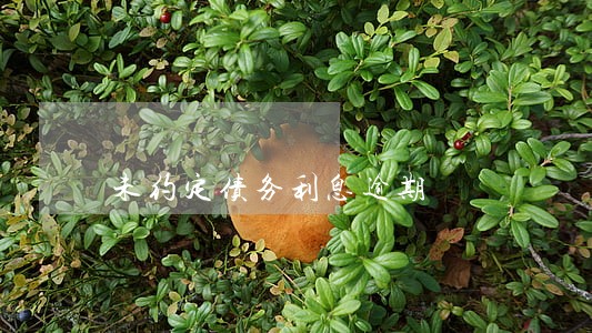 未约定债务利息逾期 未约定债务利息逾期