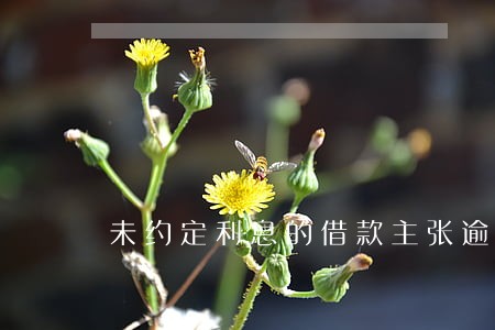 未约定利息的借款主张逾期利息 未约定利息的借款主张逾期利息