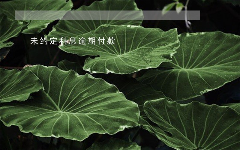 未约定利息逾期付款