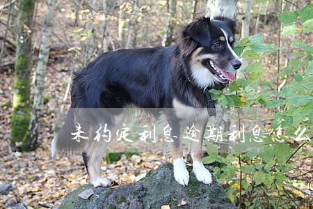 未约定利息逾期利息怎么主张 未约定利息逾期利息怎么主张