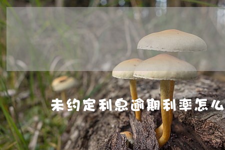 未约定利息逾期利率怎么算