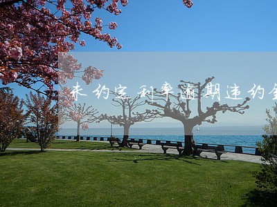 未约定利率逾期违约金 未约定利率逾期违约金