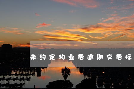 未约定物业费逾期交费标准 未约定物业费逾期交费标准