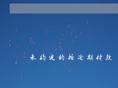 未约定的按逾期付款 未约定的按逾期付款