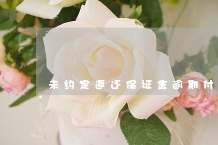 未约定返还保证金逾期付款利息 未约定返还保证金逾期付款利息