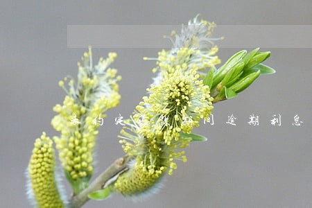 未约定还款期间逾期利息