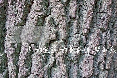 未约定违约金和逾期利息 未约定违约金和逾期利息