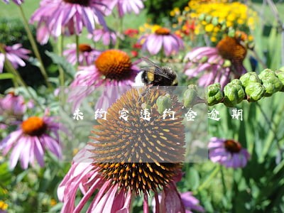 未约定违约金逾期 未约定违约金逾期