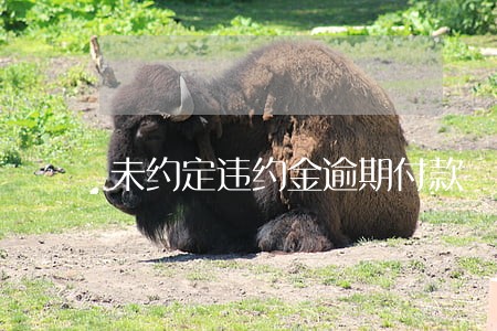 未约定违约金逾期付款 未约定违约金逾期付款