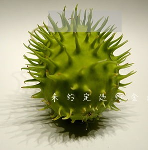 未约定违约金逾期支付利息 未约定违约金逾期支付利息