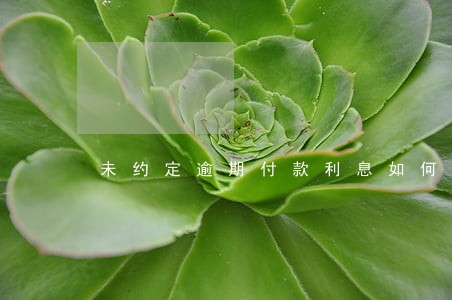 未约定逾期付款利息如何主张 未约定逾期付款利息如何主张