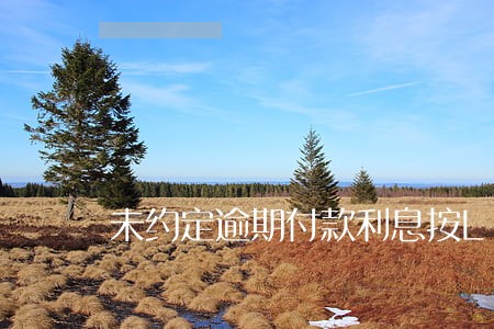 未约定逾期付款利息按LPR 未约定逾期付款利息按LPR