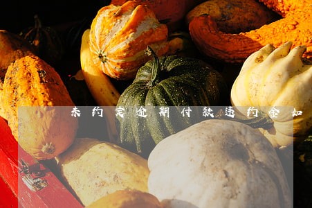 未约定逾期付款违约金如何承担 未约定逾期付款违约金如何承担
