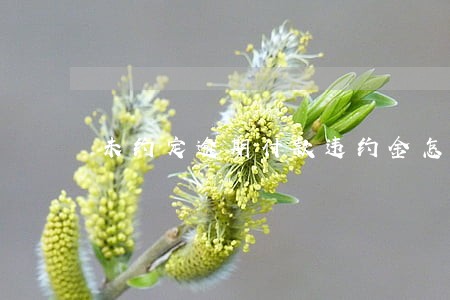 未约定逾期付款违约金怎么写 未约定逾期付款违约金怎么写