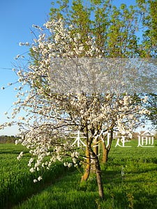 未约定逾期利息仅约定了违约金 未约定逾期利息仅约定了违约金