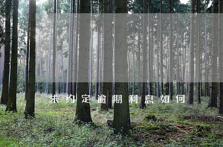 未约定逾期利息如何 未约定逾期利息如何