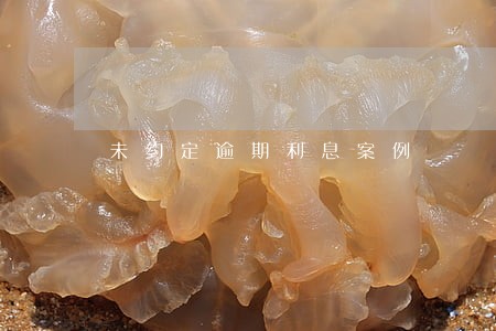 未约定逾期利息案例 未约定逾期利息案例