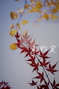 未约定逾期利息的 未约定逾期利息的
