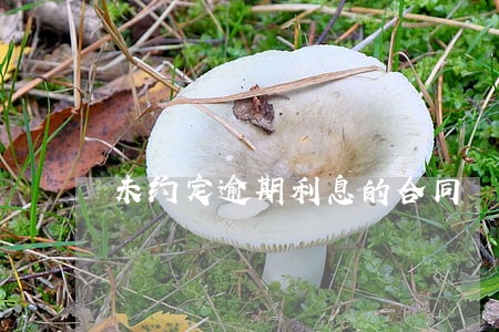 未约定逾期利息的合同 未约定逾期利息的合同