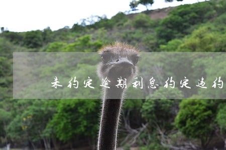 未约定逾期利息约定违约金的 未约定逾期利息约定违约金的