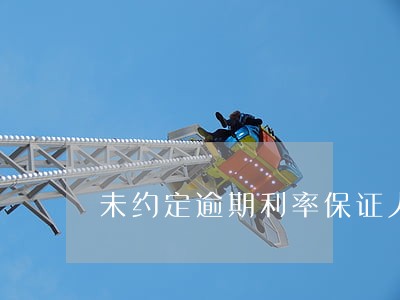 未约定逾期利率保证人 未约定逾期利率保证人