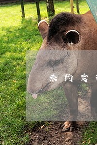 未约定逾期利率是否抵押优先 未约定逾期利率是否抵押优先