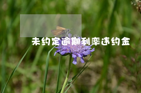 未约定逾期利率违约金 未约定逾期利率违约金