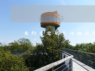 未约定逾期支付租金违约金 未约定逾期支付租金违约金