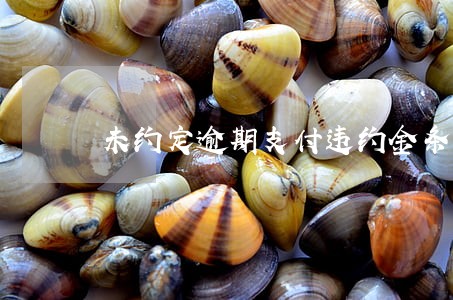 未约定逾期支付违约金条款