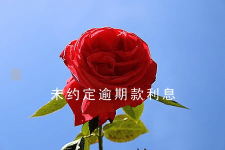 未约定逾期款利息 未约定逾期款利息