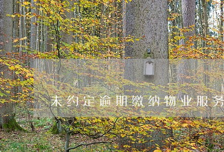 未约定逾期缴纳物业服务费利息 未约定逾期缴纳物业服务费利息