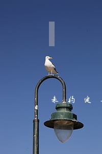 未约定逾期过户的违约责任 未约定逾期过户的违约责任