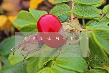 未约定逾期还款时间