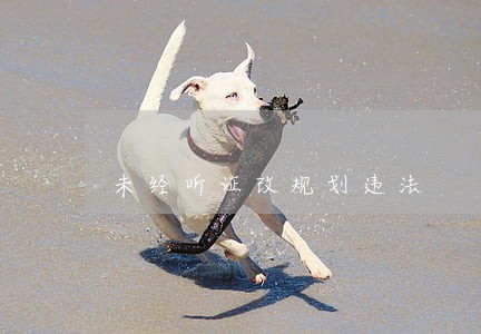 未经听证改规划违法 未经听证改规划违法