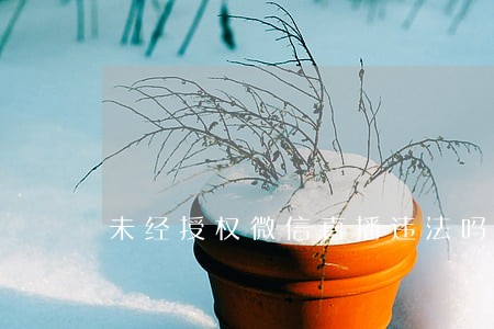 未经授权微信直播违法吗 未经授权微信直播违法吗