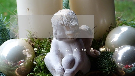 未经法院判决的物品能拍卖吗 未经法院判决的物品能拍卖吗
