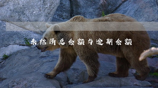 未结清总余额与逾期余额 未结清总余额与逾期余额