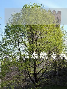 未缴专利费逾期时间 未缴专利费逾期时间