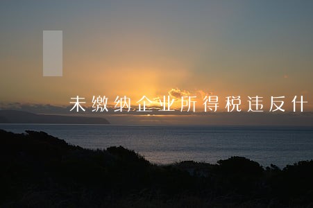 未缴纳企业所得税违反什么法规 未缴纳企业所得税违反什么法规
