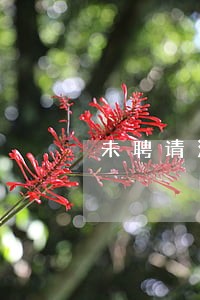 未聘请法律顾问的问题 未聘请法律顾问的问题