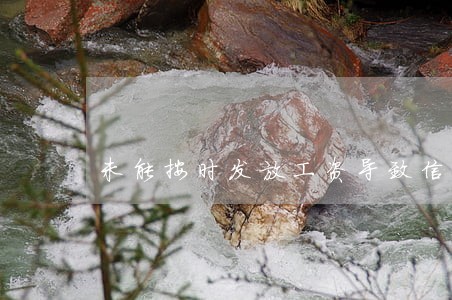 未能按时发放工资导致信用卡逾期