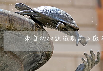 未自动扣款逾期怎么撤回 未自动扣款逾期怎么撤回