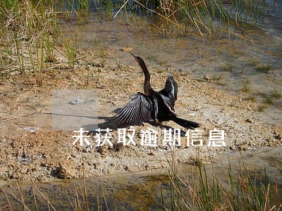 未获取逾期信息 未获取逾期信息